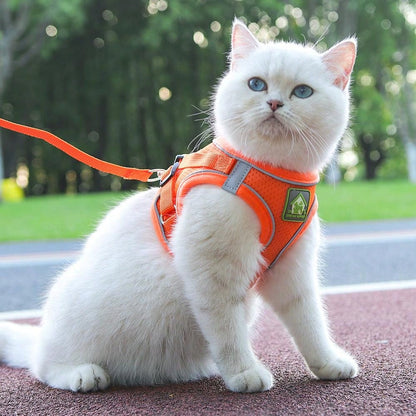 Pechera para gatos reflectante con tela transpirable