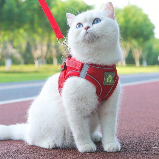 Pechera para gatos reflectante con tela transpirable