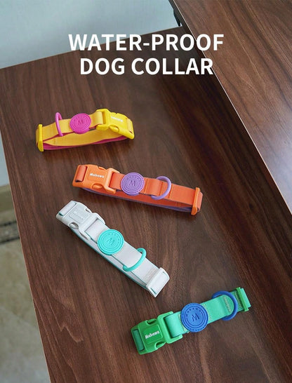 Collar con correa impermeable, ajustable para perro