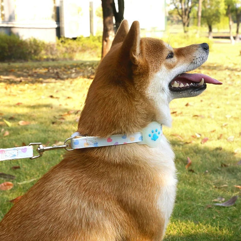 Collar de Airtag para mascotas