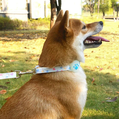 Collar de Airtag para mascotas