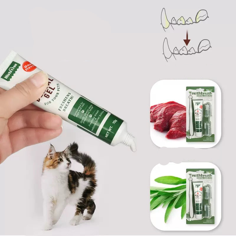 Kit dental para gatos y perros