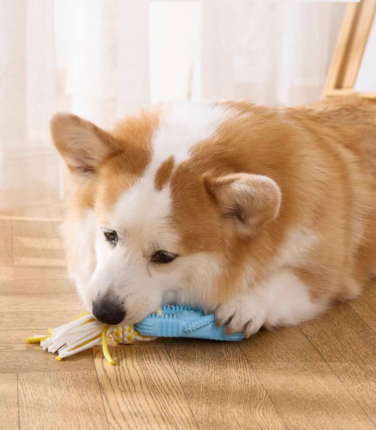 Juguete de perro para jalar