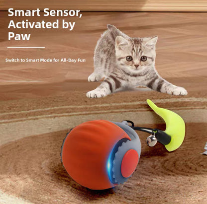 Pelota interactiva para gatos con pluma recargable