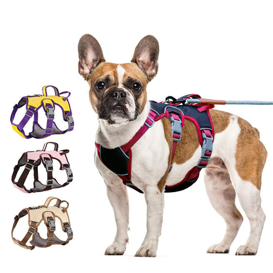 Pechera de cuatro broches para mascotas modelo HAR220