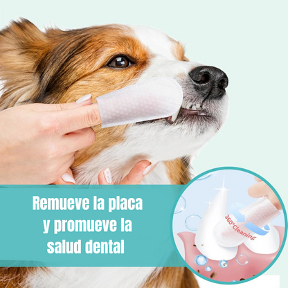 Toallas húmedas para limpieza dental 50pcs