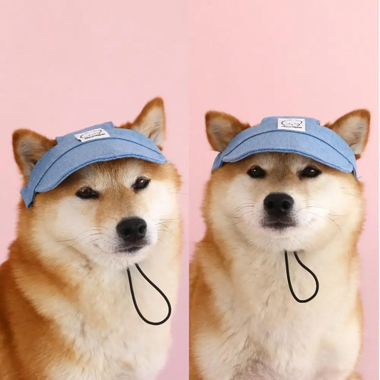 Sombrero jeans de verano para mascotas