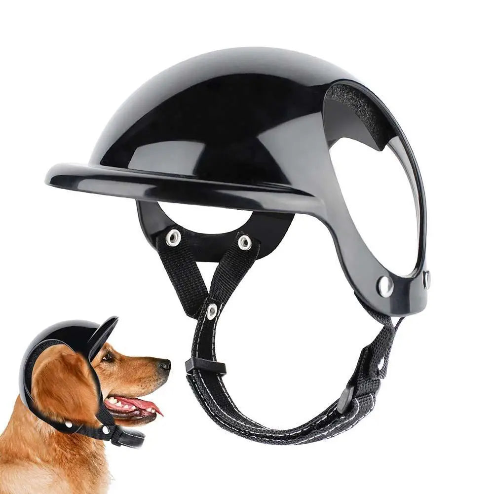 Casco de protección para mascotas