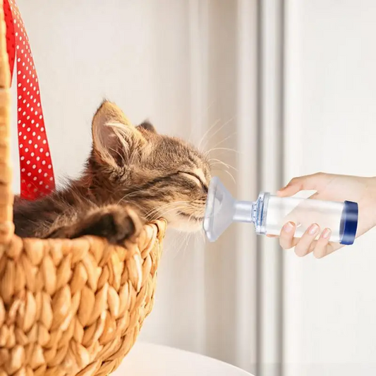 Nebulizador para mascotas asmáticas