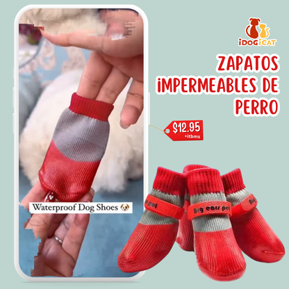 Medias impermeables para perros