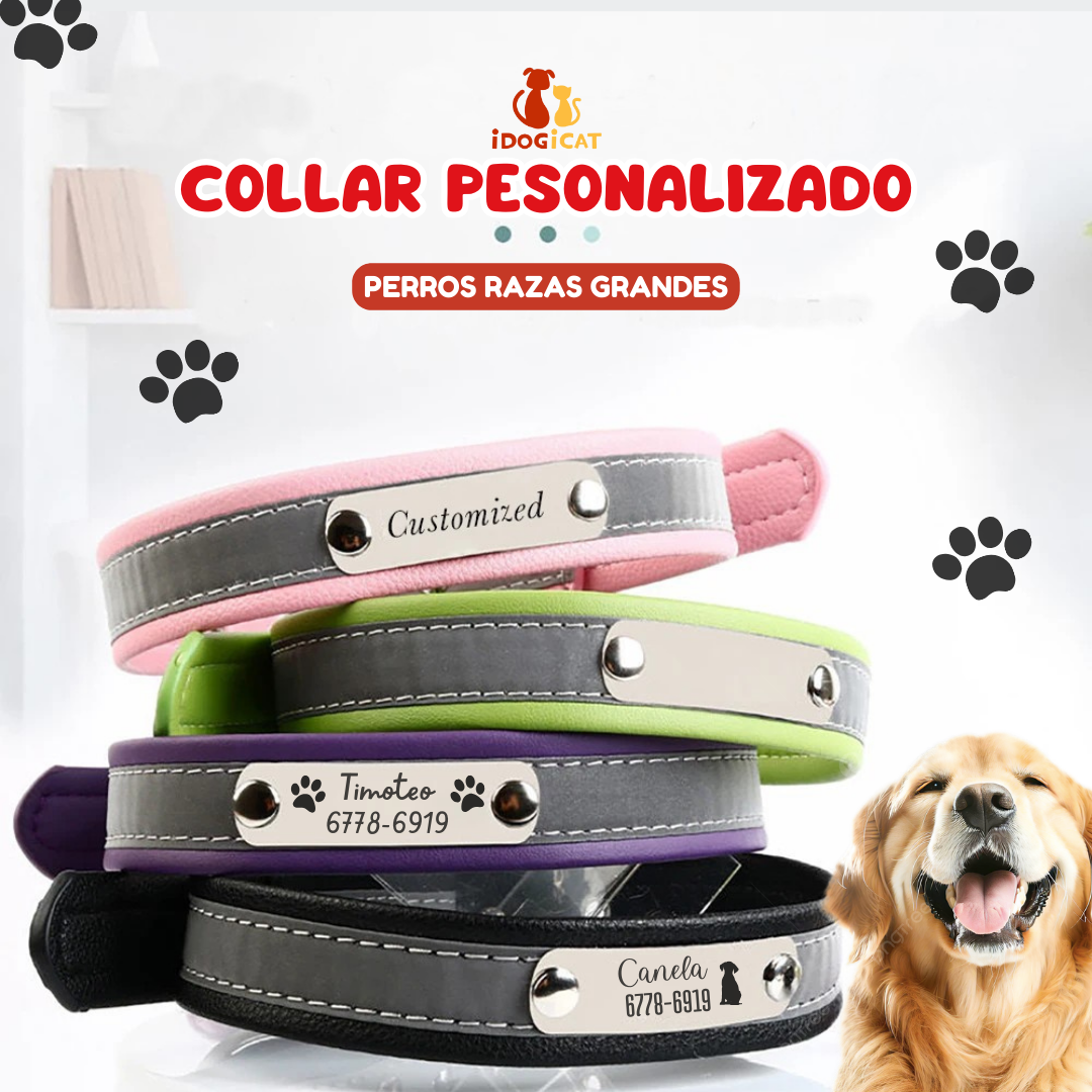 Collar personalizado para perros de raza pequeña y grande