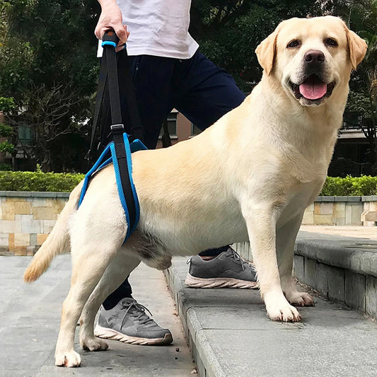 Soporte de cadera para mascotas mayores o lesionadas