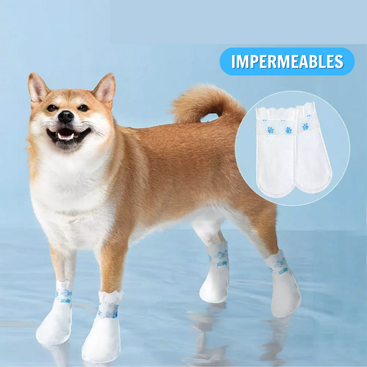 Zapatos desechables impermeables para perro (20 u)