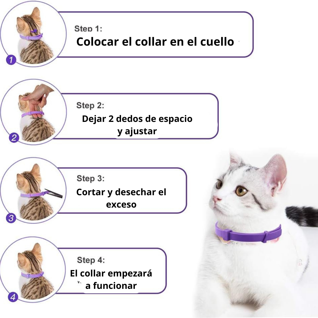 Collar calmante para gatos (Una unidad)