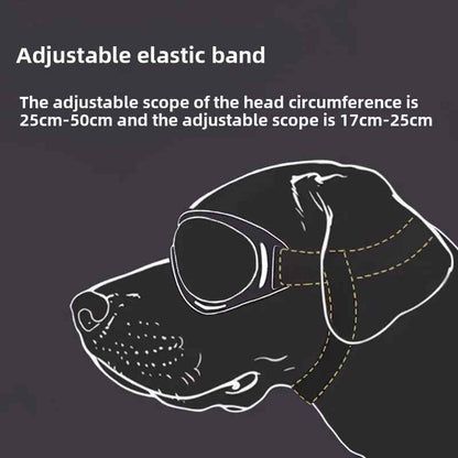 Lentes de sol ajustables para perros