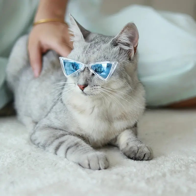 Gafas de sol triangulares para gatos idogicat