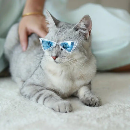 Gafas de sol triangulares para gatos