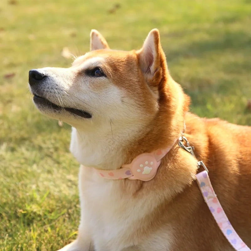 Collar de Airtag para mascotas