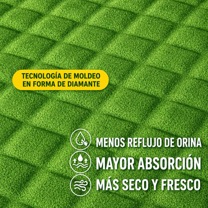 Pads verde para perros modelo chancha de futbol (Dos tamaños)