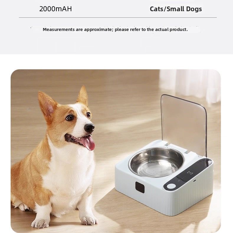 Plato con sensor inteligente para mascotas
