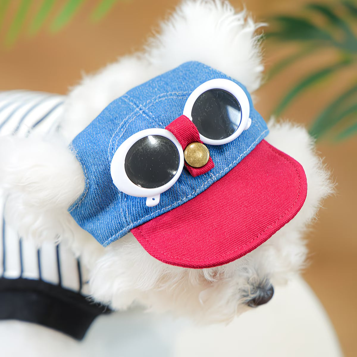 Gorra para mascotas petcircle GM03