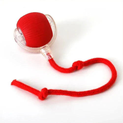 Pelota interactiva con cuerda para mascotas