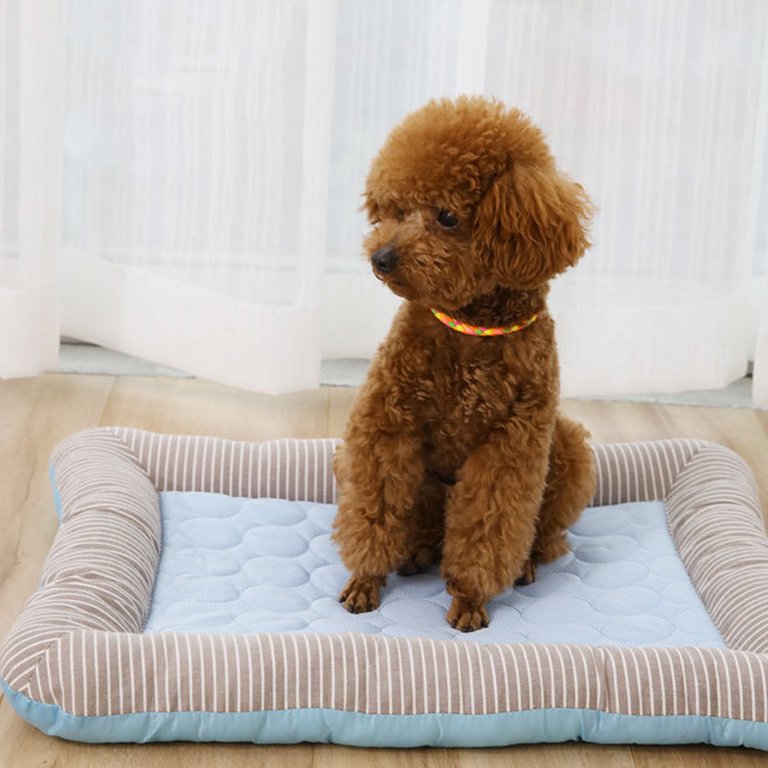 Cama fresca acolchada para mascotas