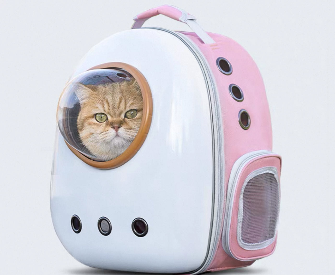 Mochila estilo capsula para mascotas hasta 8KG