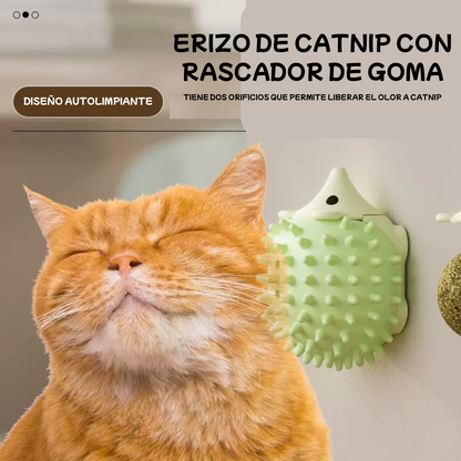 Erizo de Catnip con adhesivo para gatos