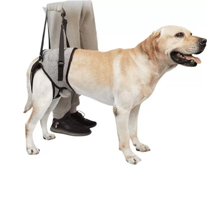 Soporte para perros ancianos o problemas de movilidad (Modelo 007)