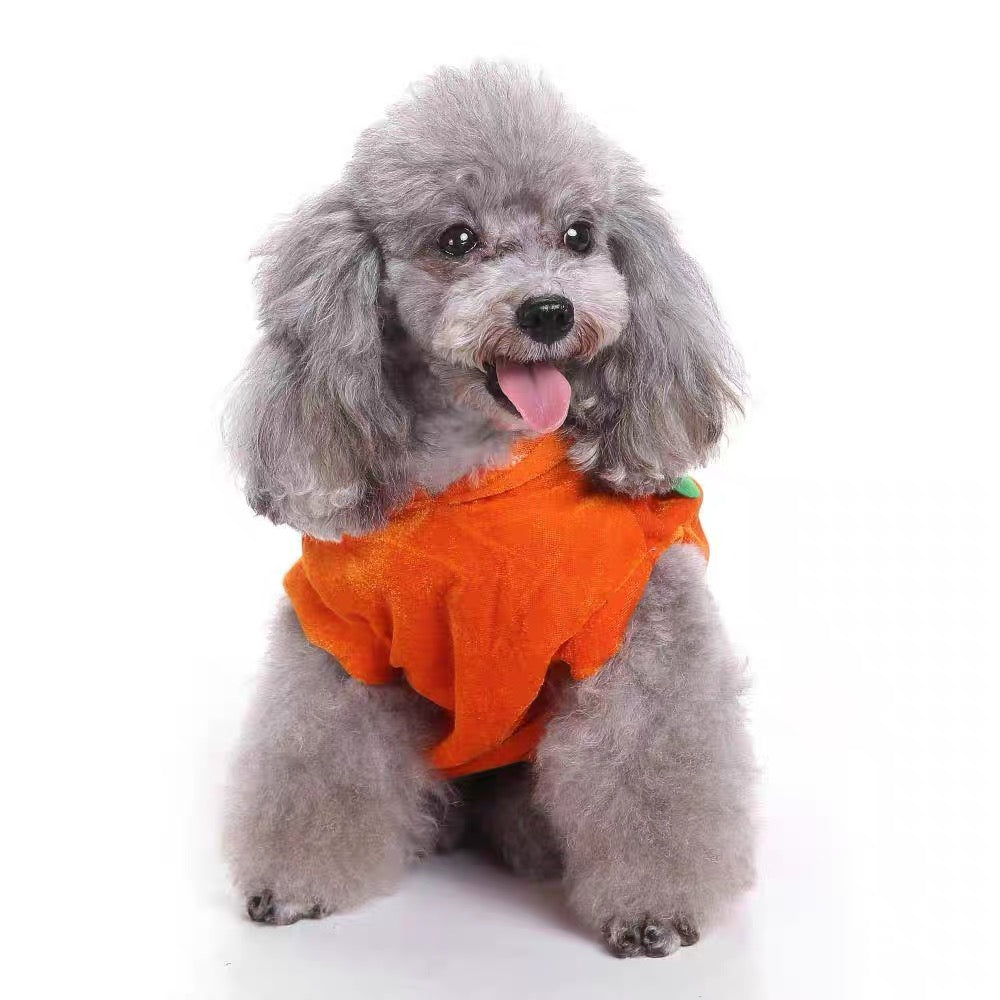 Disfraz de calabaza para mascotas modelo SDZ24