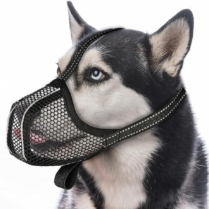 Bozal DP-301 para mascotas