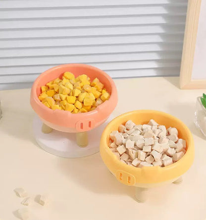 Plato de Plastico estilo cerdito para gatos