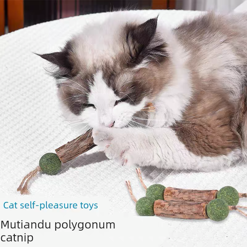 Matatabi de juguete con catnip 1un