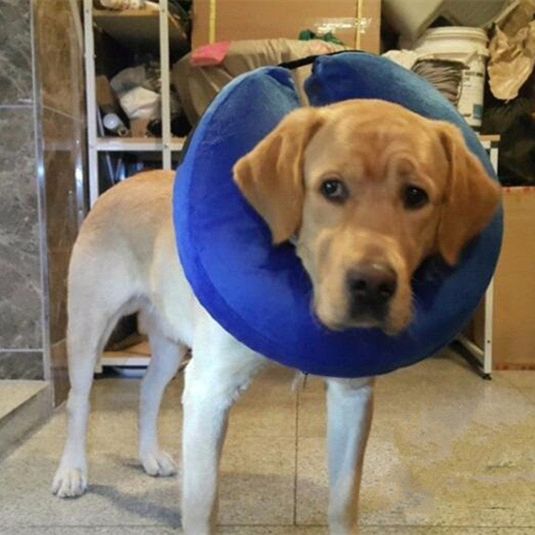 Collar inflable isabelino para mascotas grandes