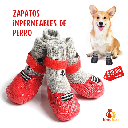 Medias impermeables para perros