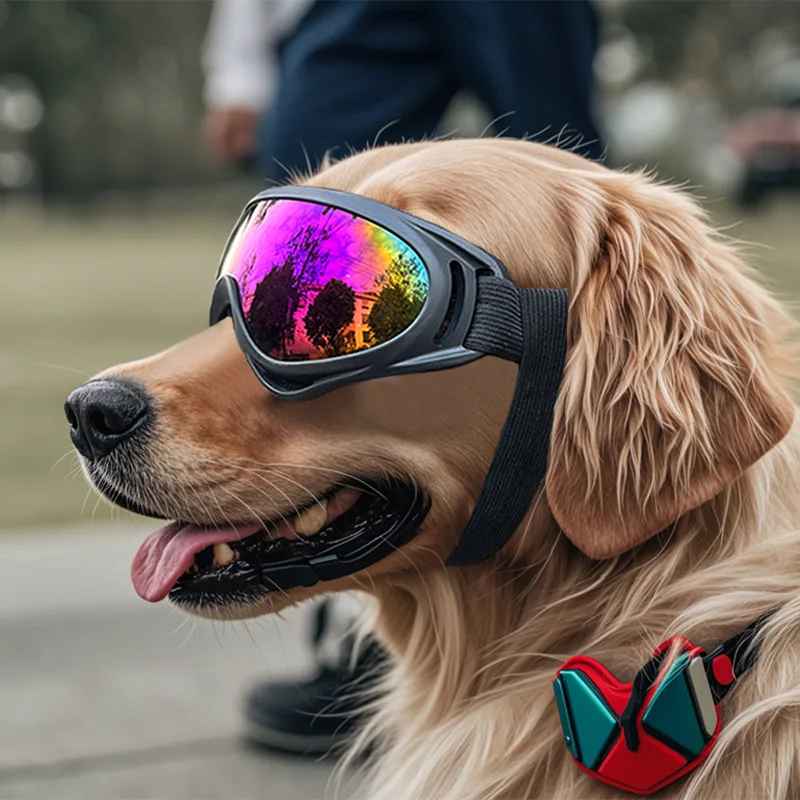 Lentes de sol ajustables para perros