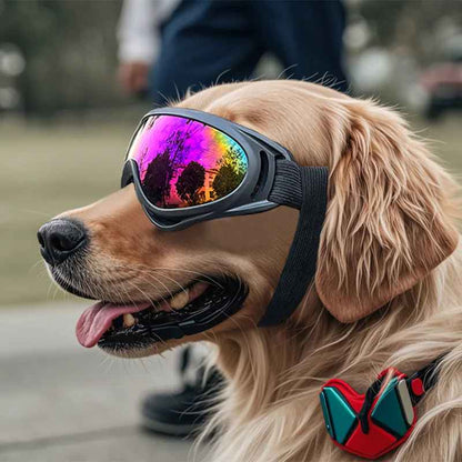 Lentes de sol ajustables para perros