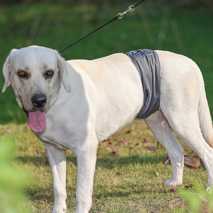 Pañales reutilizables para perros macho