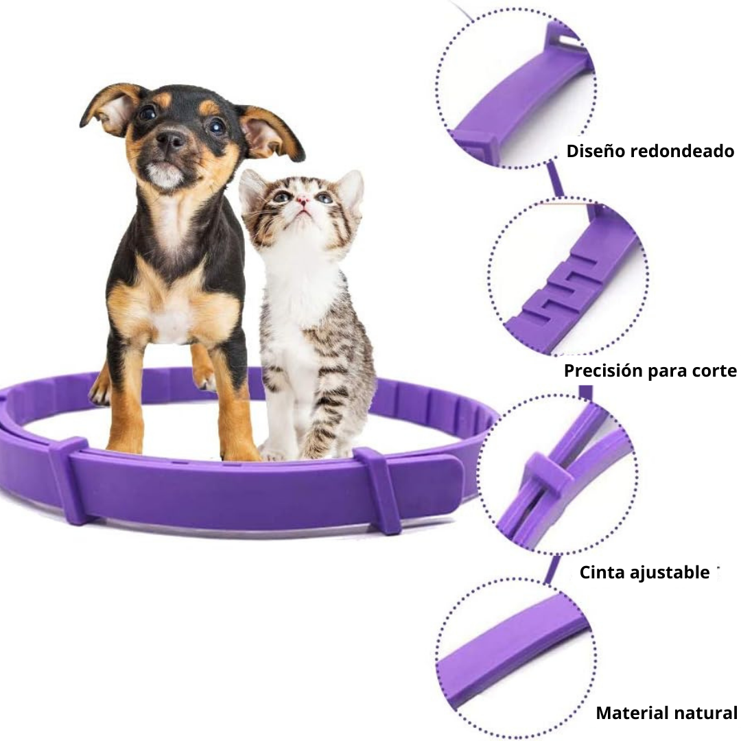 Collar calmante para gatos (Una unidad)