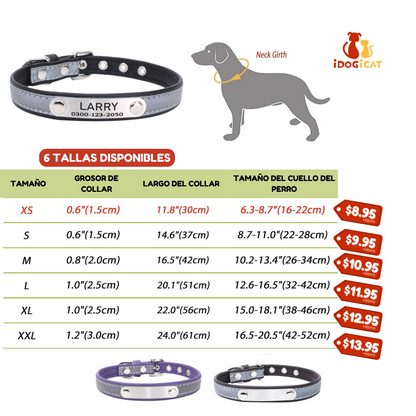 Collar personalizado para perros de raza pequeña y grande