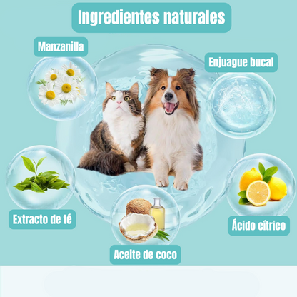 Toallas húmedas para limpieza dental 50pcs
