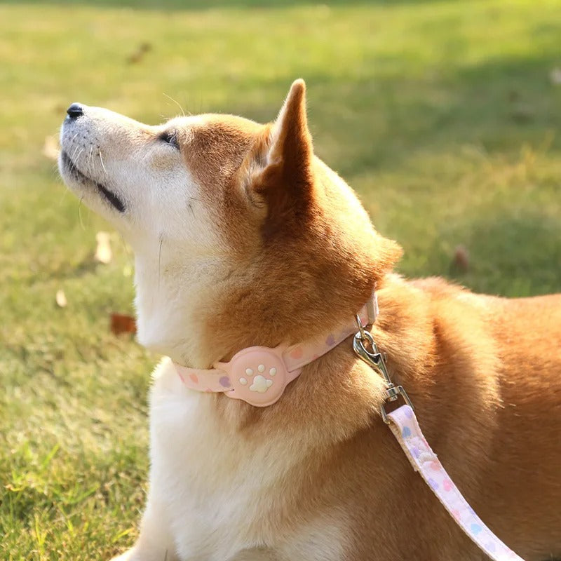 Collar de Airtag para mascotas