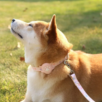 Collar de Airtag para mascotas