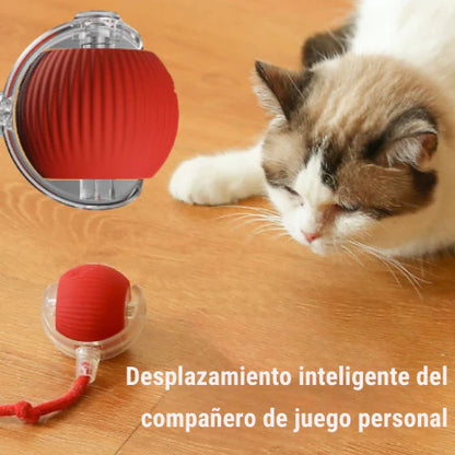 Pelota interactiva con cuerda para mascotas