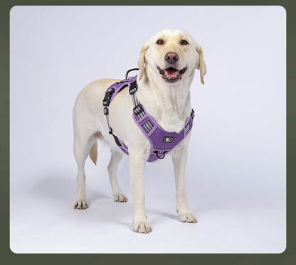 Pechera con correa para perros de raza grande modelo 426