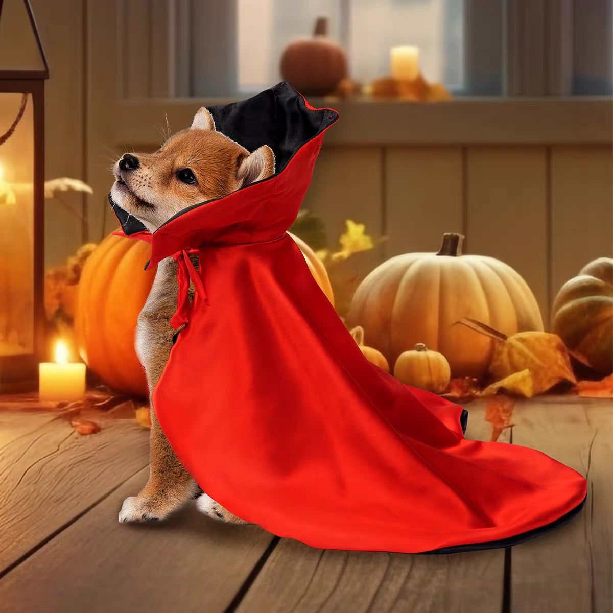 Capa de vampiro para mascotas (Talla única)