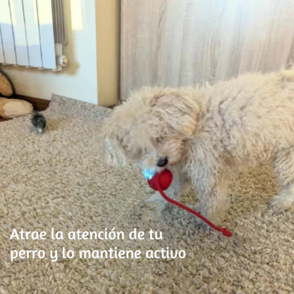 Pelota interactiva con cuerda para mascotas
