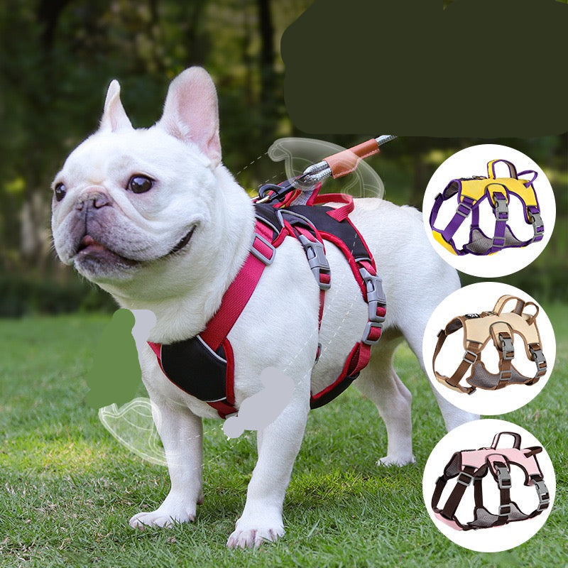 Pechera de cuatro broches para mascotas modelo HAR220