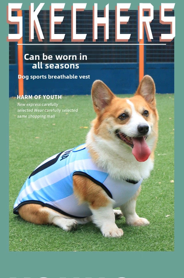 Camiseta del mundial para mascotas (5 equipos)